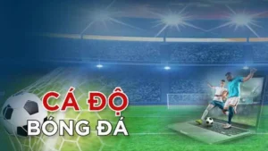 Khám Phá Cá Cược Bóng Đá HipClub Hấp Dẫn Nhất 2025