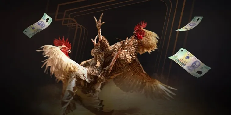 Đá Gà HipClub Hấp Dẫn Khám Phá Thế Giới Cá Cược Kịch Tính