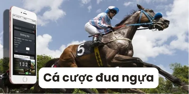 Bí Kíp Cá Cược Đua Ngựa HipClub Thắng Lớn Nhất 2025 2 Bí Kíp Cá Cược Đua Ngựa HipClub Thắng Lớn Nhất 2025